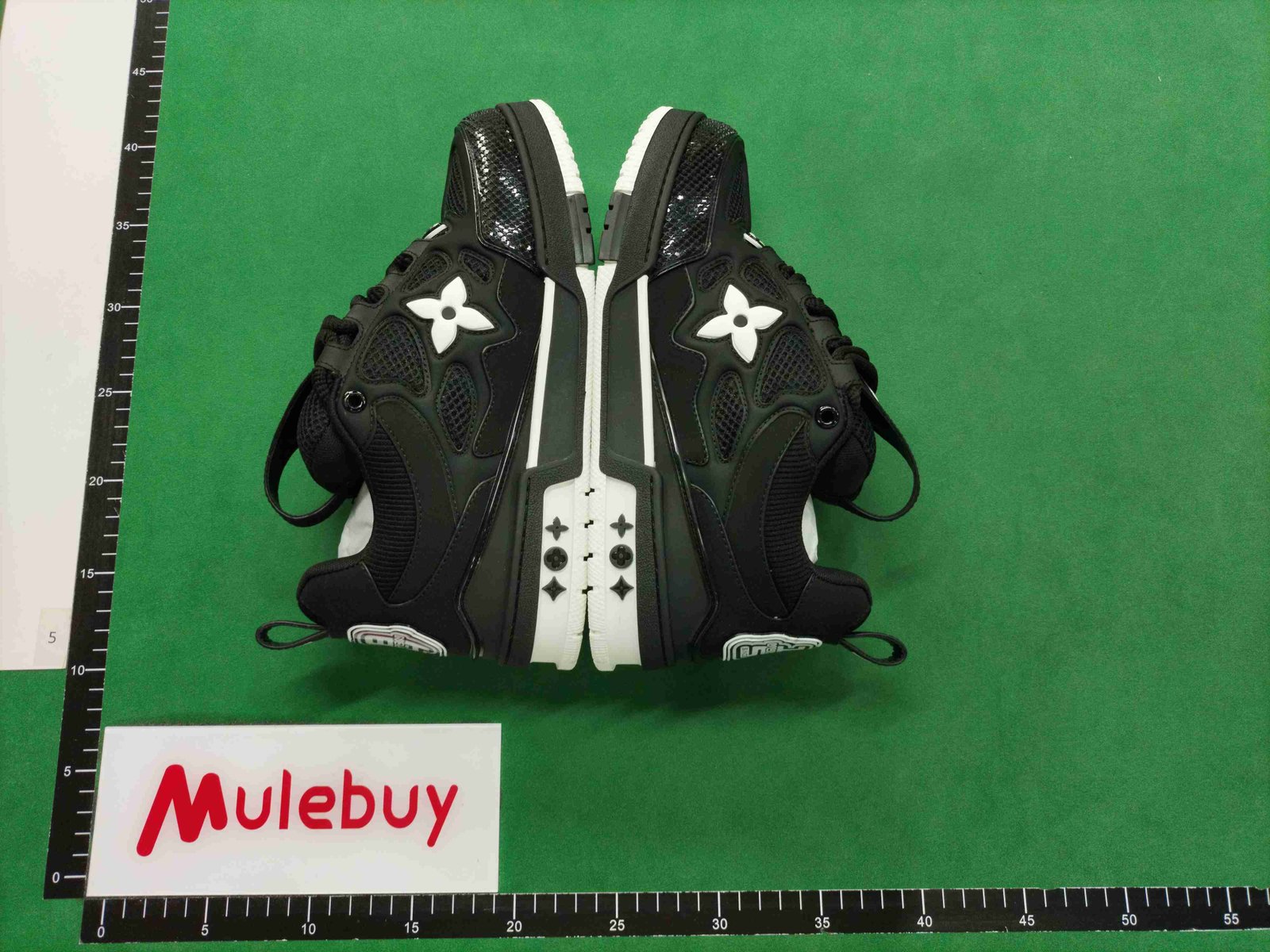 ph049 Louis vuitton Trainer Skate