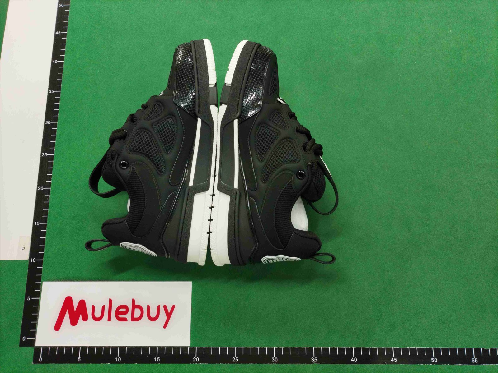 ph049 Louis vuitton Trainer Skate