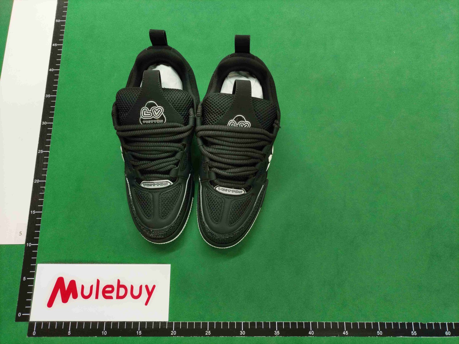 ph049 Louis vuitton Trainer Skate