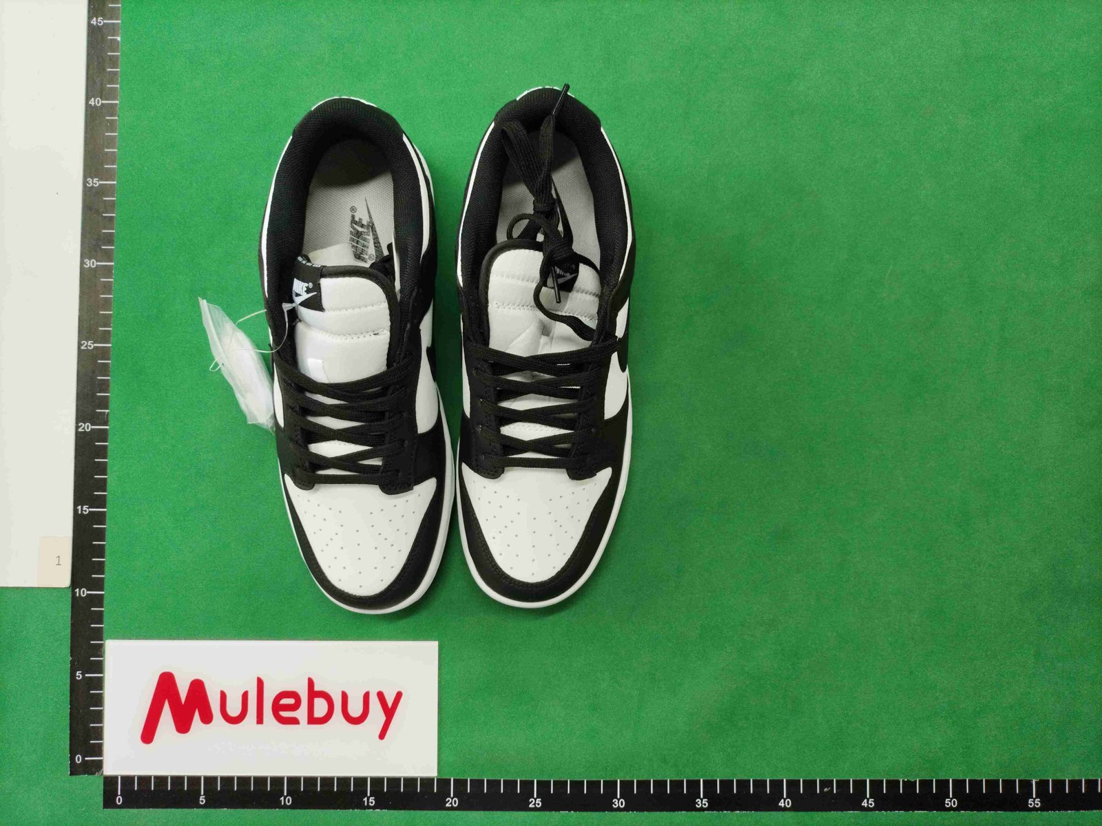 ph060 SB DUNK