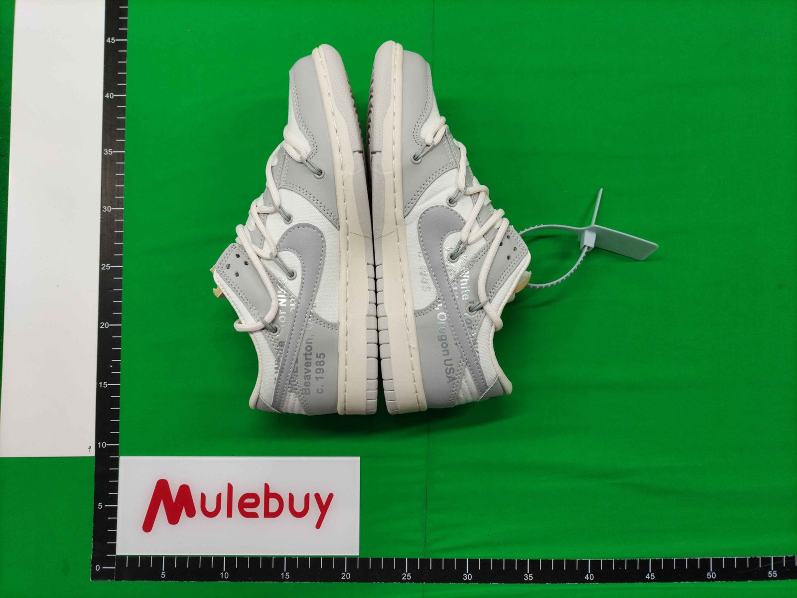 ph063 Nike SB Dunk OW