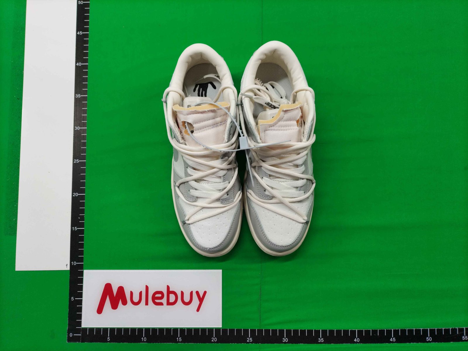 ph063 Nike SB Dunk OW